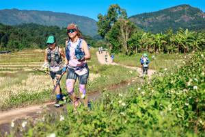 BIB: 
                            <button type="button" onclick="openModal(26689394)" class="btn btn-primary btn-sm float-right btn-popup" data-toggle="modal" data-target=".modal-high-quality">
                        <i class="fas fa-shopping-cart"></i> Add to Cart
                    </button>
                                            <button type="button" onclick="isThisMe(26689394, true)" class="btn btn-success btn-sm float-right btn-popup btn-isme hidden" data-toggle="tooltip" data-placement="bottom" title="นี่คือรูปของคุณใช่ไหม คลิกที่นี่เพื่อเอาเข้าอัลบั้ม">
                        <i class="fas fa-plus"></i> Add to album
                    </button>
                    <button type="button" onclick="isThisMe(26689394, false)" class="btn btn-warning btn-sm float-right btn-popup btn-isnotme hidden">
                        <i class="fas fa-ban"></i> Remove from album
                    </button>