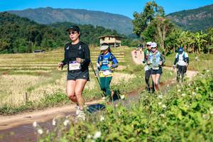 BIB: 
                            <button type="button" onclick="openModal(26688728)" class="btn btn-primary btn-sm float-right btn-popup" data-toggle="modal" data-target=".modal-high-quality">
                        <i class="fas fa-shopping-cart"></i> Add to Cart
                    </button>
                                            <button type="button" onclick="isThisMe(26688728, true)" class="btn btn-success btn-sm float-right btn-popup btn-isme hidden" data-toggle="tooltip" data-placement="bottom" title="นี่คือรูปของคุณใช่ไหม คลิกที่นี่เพื่อเอาเข้าอัลบั้ม">
                        <i class="fas fa-plus"></i> Add to album
                    </button>
                    <button type="button" onclick="isThisMe(26688728, false)" class="btn btn-warning btn-sm float-right btn-popup btn-isnotme hidden">
                        <i class="fas fa-ban"></i> Remove from album
                    </button>