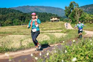 BIB: 
                            <button type="button" onclick="openModal(26689461)" class="btn btn-primary btn-sm float-right btn-popup" data-toggle="modal" data-target=".modal-high-quality">
                        <i class="fas fa-shopping-cart"></i> Add to Cart
                    </button>
                                            <button type="button" onclick="isThisMe(26689461, true)" class="btn btn-success btn-sm float-right btn-popup btn-isme hidden" data-toggle="tooltip" data-placement="bottom" title="นี่คือรูปของคุณใช่ไหม คลิกที่นี่เพื่อเอาเข้าอัลบั้ม">
                        <i class="fas fa-plus"></i> Add to album
                    </button>
                    <button type="button" onclick="isThisMe(26689461, false)" class="btn btn-warning btn-sm float-right btn-popup btn-isnotme hidden">
                        <i class="fas fa-ban"></i> Remove from album
                    </button>