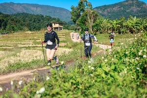 BIB: 
                            <button type="button" onclick="openModal(26689316)" class="btn btn-primary btn-sm float-right btn-popup" data-toggle="modal" data-target=".modal-high-quality">
                        <i class="fas fa-shopping-cart"></i> Add to Cart
                    </button>
                                            <button type="button" onclick="isThisMe(26689316, true)" class="btn btn-success btn-sm float-right btn-popup btn-isme hidden" data-toggle="tooltip" data-placement="bottom" title="นี่คือรูปของคุณใช่ไหม คลิกที่นี่เพื่อเอาเข้าอัลบั้ม">
                        <i class="fas fa-plus"></i> Add to album
                    </button>
                    <button type="button" onclick="isThisMe(26689316, false)" class="btn btn-warning btn-sm float-right btn-popup btn-isnotme hidden">
                        <i class="fas fa-ban"></i> Remove from album
                    </button>