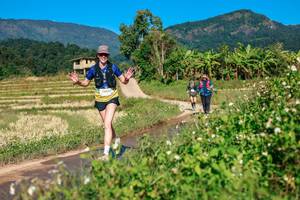 BIB: 
                            <button type="button" onclick="openModal(26688210)" class="btn btn-primary btn-sm float-right btn-popup" data-toggle="modal" data-target=".modal-high-quality">
                        <i class="fas fa-shopping-cart"></i> Add to Cart
                    </button>
                                            <button type="button" onclick="isThisMe(26688210, true)" class="btn btn-success btn-sm float-right btn-popup btn-isme hidden" data-toggle="tooltip" data-placement="bottom" title="นี่คือรูปของคุณใช่ไหม คลิกที่นี่เพื่อเอาเข้าอัลบั้ม">
                        <i class="fas fa-plus"></i> Add to album
                    </button>
                    <button type="button" onclick="isThisMe(26688210, false)" class="btn btn-warning btn-sm float-right btn-popup btn-isnotme hidden">
                        <i class="fas fa-ban"></i> Remove from album
                    </button>