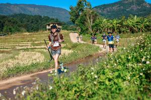 BIB: 
                            <button type="button" onclick="openModal(26688131)" class="btn btn-primary btn-sm float-right btn-popup" data-toggle="modal" data-target=".modal-high-quality">
                        <i class="fas fa-shopping-cart"></i> Add to Cart
                    </button>
                                            <button type="button" onclick="isThisMe(26688131, true)" class="btn btn-success btn-sm float-right btn-popup btn-isme hidden" data-toggle="tooltip" data-placement="bottom" title="นี่คือรูปของคุณใช่ไหม คลิกที่นี่เพื่อเอาเข้าอัลบั้ม">
                        <i class="fas fa-plus"></i> Add to album
                    </button>
                    <button type="button" onclick="isThisMe(26688131, false)" class="btn btn-warning btn-sm float-right btn-popup btn-isnotme hidden">
                        <i class="fas fa-ban"></i> Remove from album
                    </button>