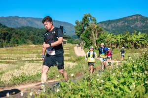 BIB: 
                            <button type="button" onclick="openModal(26688788)" class="btn btn-primary btn-sm float-right btn-popup" data-toggle="modal" data-target=".modal-high-quality">
                        <i class="fas fa-shopping-cart"></i> Add to Cart
                    </button>
                                            <button type="button" onclick="isThisMe(26688788, true)" class="btn btn-success btn-sm float-right btn-popup btn-isme hidden" data-toggle="tooltip" data-placement="bottom" title="นี่คือรูปของคุณใช่ไหม คลิกที่นี่เพื่อเอาเข้าอัลบั้ม">
                        <i class="fas fa-plus"></i> Add to album
                    </button>
                    <button type="button" onclick="isThisMe(26688788, false)" class="btn btn-warning btn-sm float-right btn-popup btn-isnotme hidden">
                        <i class="fas fa-ban"></i> Remove from album
                    </button>