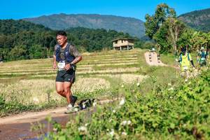 BIB: 
                            <button type="button" onclick="openModal(26689136)" class="btn btn-primary btn-sm float-right btn-popup" data-toggle="modal" data-target=".modal-high-quality">
                        <i class="fas fa-shopping-cart"></i> Add to Cart
                    </button>
                                            <button type="button" onclick="isThisMe(26689136, true)" class="btn btn-success btn-sm float-right btn-popup btn-isme hidden" data-toggle="tooltip" data-placement="bottom" title="นี่คือรูปของคุณใช่ไหม คลิกที่นี่เพื่อเอาเข้าอัลบั้ม">
                        <i class="fas fa-plus"></i> Add to album
                    </button>
                    <button type="button" onclick="isThisMe(26689136, false)" class="btn btn-warning btn-sm float-right btn-popup btn-isnotme hidden">
                        <i class="fas fa-ban"></i> Remove from album
                    </button>