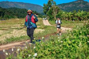 BIB: 
                            <button type="button" onclick="openModal(26688270)" class="btn btn-primary btn-sm float-right btn-popup" data-toggle="modal" data-target=".modal-high-quality">
                        <i class="fas fa-shopping-cart"></i> Add to Cart
                    </button>
                                            <button type="button" onclick="isThisMe(26688270, true)" class="btn btn-success btn-sm float-right btn-popup btn-isme hidden" data-toggle="tooltip" data-placement="bottom" title="นี่คือรูปของคุณใช่ไหม คลิกที่นี่เพื่อเอาเข้าอัลบั้ม">
                        <i class="fas fa-plus"></i> Add to album
                    </button>
                    <button type="button" onclick="isThisMe(26688270, false)" class="btn btn-warning btn-sm float-right btn-popup btn-isnotme hidden">
                        <i class="fas fa-ban"></i> Remove from album
                    </button>