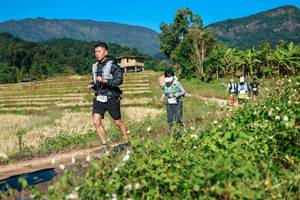 BIB: 
                            <button type="button" onclick="openModal(26688965)" class="btn btn-primary btn-sm float-right btn-popup" data-toggle="modal" data-target=".modal-high-quality">
                        <i class="fas fa-shopping-cart"></i> Add to Cart
                    </button>
                                            <button type="button" onclick="isThisMe(26688965, true)" class="btn btn-success btn-sm float-right btn-popup btn-isme hidden" data-toggle="tooltip" data-placement="bottom" title="นี่คือรูปของคุณใช่ไหม คลิกที่นี่เพื่อเอาเข้าอัลบั้ม">
                        <i class="fas fa-plus"></i> Add to album
                    </button>
                    <button type="button" onclick="isThisMe(26688965, false)" class="btn btn-warning btn-sm float-right btn-popup btn-isnotme hidden">
                        <i class="fas fa-ban"></i> Remove from album
                    </button>