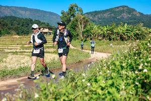 BIB: 
                            <button type="button" onclick="openModal(26689482)" class="btn btn-primary btn-sm float-right btn-popup" data-toggle="modal" data-target=".modal-high-quality">
                        <i class="fas fa-shopping-cart"></i> Add to Cart
                    </button>
                                            <button type="button" onclick="isThisMe(26689482, true)" class="btn btn-success btn-sm float-right btn-popup btn-isme hidden" data-toggle="tooltip" data-placement="bottom" title="นี่คือรูปของคุณใช่ไหม คลิกที่นี่เพื่อเอาเข้าอัลบั้ม">
                        <i class="fas fa-plus"></i> Add to album
                    </button>
                    <button type="button" onclick="isThisMe(26689482, false)" class="btn btn-warning btn-sm float-right btn-popup btn-isnotme hidden">
                        <i class="fas fa-ban"></i> Remove from album
                    </button>