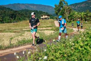 BIB: 
                            <button type="button" onclick="openModal(26688083)" class="btn btn-primary btn-sm float-right btn-popup" data-toggle="modal" data-target=".modal-high-quality">
                        <i class="fas fa-shopping-cart"></i> Add to Cart
                    </button>
                                            <button type="button" onclick="isThisMe(26688083, true)" class="btn btn-success btn-sm float-right btn-popup btn-isme hidden" data-toggle="tooltip" data-placement="bottom" title="นี่คือรูปของคุณใช่ไหม คลิกที่นี่เพื่อเอาเข้าอัลบั้ม">
                        <i class="fas fa-plus"></i> Add to album
                    </button>
                    <button type="button" onclick="isThisMe(26688083, false)" class="btn btn-warning btn-sm float-right btn-popup btn-isnotme hidden">
                        <i class="fas fa-ban"></i> Remove from album
                    </button>