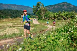 BIB: 
                            <button type="button" onclick="openModal(26689303)" class="btn btn-primary btn-sm float-right btn-popup" data-toggle="modal" data-target=".modal-high-quality">
                        <i class="fas fa-shopping-cart"></i> Add to Cart
                    </button>
                                            <button type="button" onclick="isThisMe(26689303, true)" class="btn btn-success btn-sm float-right btn-popup btn-isme hidden" data-toggle="tooltip" data-placement="bottom" title="นี่คือรูปของคุณใช่ไหม คลิกที่นี่เพื่อเอาเข้าอัลบั้ม">
                        <i class="fas fa-plus"></i> Add to album
                    </button>
                    <button type="button" onclick="isThisMe(26689303, false)" class="btn btn-warning btn-sm float-right btn-popup btn-isnotme hidden">
                        <i class="fas fa-ban"></i> Remove from album
                    </button>