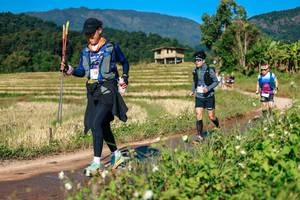 BIB: 
                            <button type="button" onclick="openModal(26688558)" class="btn btn-primary btn-sm float-right btn-popup" data-toggle="modal" data-target=".modal-high-quality">
                        <i class="fas fa-shopping-cart"></i> Add to Cart
                    </button>
                                            <button type="button" onclick="isThisMe(26688558, true)" class="btn btn-success btn-sm float-right btn-popup btn-isme hidden" data-toggle="tooltip" data-placement="bottom" title="นี่คือรูปของคุณใช่ไหม คลิกที่นี่เพื่อเอาเข้าอัลบั้ม">
                        <i class="fas fa-plus"></i> Add to album
                    </button>
                    <button type="button" onclick="isThisMe(26688558, false)" class="btn btn-warning btn-sm float-right btn-popup btn-isnotme hidden">
                        <i class="fas fa-ban"></i> Remove from album
                    </button>