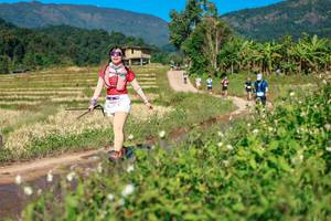 BIB: 
                            <button type="button" onclick="openModal(26688839)" class="btn btn-primary btn-sm float-right btn-popup" data-toggle="modal" data-target=".modal-high-quality">
                        <i class="fas fa-shopping-cart"></i> Add to Cart
                    </button>
                                            <button type="button" onclick="isThisMe(26688839, true)" class="btn btn-success btn-sm float-right btn-popup btn-isme hidden" data-toggle="tooltip" data-placement="bottom" title="นี่คือรูปของคุณใช่ไหม คลิกที่นี่เพื่อเอาเข้าอัลบั้ม">
                        <i class="fas fa-plus"></i> Add to album
                    </button>
                    <button type="button" onclick="isThisMe(26688839, false)" class="btn btn-warning btn-sm float-right btn-popup btn-isnotme hidden">
                        <i class="fas fa-ban"></i> Remove from album
                    </button>