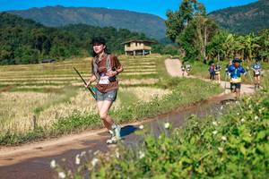 BIB: 
                            <button type="button" onclick="openModal(26688149)" class="btn btn-primary btn-sm float-right btn-popup" data-toggle="modal" data-target=".modal-high-quality">
                        <i class="fas fa-shopping-cart"></i> Add to Cart
                    </button>
                                            <button type="button" onclick="isThisMe(26688149, true)" class="btn btn-success btn-sm float-right btn-popup btn-isme hidden" data-toggle="tooltip" data-placement="bottom" title="นี่คือรูปของคุณใช่ไหม คลิกที่นี่เพื่อเอาเข้าอัลบั้ม">
                        <i class="fas fa-plus"></i> Add to album
                    </button>
                    <button type="button" onclick="isThisMe(26688149, false)" class="btn btn-warning btn-sm float-right btn-popup btn-isnotme hidden">
                        <i class="fas fa-ban"></i> Remove from album
                    </button>