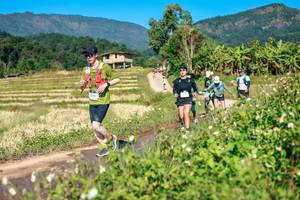 BIB: 
                            <button type="button" onclick="openModal(26688707)" class="btn btn-primary btn-sm float-right btn-popup" data-toggle="modal" data-target=".modal-high-quality">
                        <i class="fas fa-shopping-cart"></i> Add to Cart
                    </button>
                                            <button type="button" onclick="isThisMe(26688707, true)" class="btn btn-success btn-sm float-right btn-popup btn-isme hidden" data-toggle="tooltip" data-placement="bottom" title="นี่คือรูปของคุณใช่ไหม คลิกที่นี่เพื่อเอาเข้าอัลบั้ม">
                        <i class="fas fa-plus"></i> Add to album
                    </button>
                    <button type="button" onclick="isThisMe(26688707, false)" class="btn btn-warning btn-sm float-right btn-popup btn-isnotme hidden">
                        <i class="fas fa-ban"></i> Remove from album
                    </button>