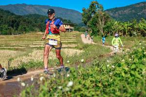 BIB: 
                            <button type="button" onclick="openModal(26688058)" class="btn btn-primary btn-sm float-right btn-popup" data-toggle="modal" data-target=".modal-high-quality">
                        <i class="fas fa-shopping-cart"></i> Add to Cart
                    </button>
                                            <button type="button" onclick="isThisMe(26688058, true)" class="btn btn-success btn-sm float-right btn-popup btn-isme hidden" data-toggle="tooltip" data-placement="bottom" title="นี่คือรูปของคุณใช่ไหม คลิกที่นี่เพื่อเอาเข้าอัลบั้ม">
                        <i class="fas fa-plus"></i> Add to album
                    </button>
                    <button type="button" onclick="isThisMe(26688058, false)" class="btn btn-warning btn-sm float-right btn-popup btn-isnotme hidden">
                        <i class="fas fa-ban"></i> Remove from album
                    </button>