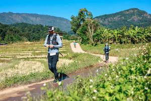 BIB: 
                            <button type="button" onclick="openModal(26689499)" class="btn btn-primary btn-sm float-right btn-popup" data-toggle="modal" data-target=".modal-high-quality">
                        <i class="fas fa-shopping-cart"></i> Add to Cart
                    </button>
                                            <button type="button" onclick="isThisMe(26689499, true)" class="btn btn-success btn-sm float-right btn-popup btn-isme hidden" data-toggle="tooltip" data-placement="bottom" title="นี่คือรูปของคุณใช่ไหม คลิกที่นี่เพื่อเอาเข้าอัลบั้ม">
                        <i class="fas fa-plus"></i> Add to album
                    </button>
                    <button type="button" onclick="isThisMe(26689499, false)" class="btn btn-warning btn-sm float-right btn-popup btn-isnotme hidden">
                        <i class="fas fa-ban"></i> Remove from album
                    </button>