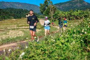 BIB: 
                            <button type="button" onclick="openModal(26689275)" class="btn btn-primary btn-sm float-right btn-popup" data-toggle="modal" data-target=".modal-high-quality">
                        <i class="fas fa-shopping-cart"></i> Add to Cart
                    </button>
                                            <button type="button" onclick="isThisMe(26689275, true)" class="btn btn-success btn-sm float-right btn-popup btn-isme hidden" data-toggle="tooltip" data-placement="bottom" title="นี่คือรูปของคุณใช่ไหม คลิกที่นี่เพื่อเอาเข้าอัลบั้ม">
                        <i class="fas fa-plus"></i> Add to album
                    </button>
                    <button type="button" onclick="isThisMe(26689275, false)" class="btn btn-warning btn-sm float-right btn-popup btn-isnotme hidden">
                        <i class="fas fa-ban"></i> Remove from album
                    </button>