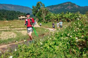 BIB: 
                            <button type="button" onclick="openModal(26688424)" class="btn btn-primary btn-sm float-right btn-popup" data-toggle="modal" data-target=".modal-high-quality">
                        <i class="fas fa-shopping-cart"></i> Add to Cart
                    </button>
                                            <button type="button" onclick="isThisMe(26688424, true)" class="btn btn-success btn-sm float-right btn-popup btn-isme hidden" data-toggle="tooltip" data-placement="bottom" title="นี่คือรูปของคุณใช่ไหม คลิกที่นี่เพื่อเอาเข้าอัลบั้ม">
                        <i class="fas fa-plus"></i> Add to album
                    </button>
                    <button type="button" onclick="isThisMe(26688424, false)" class="btn btn-warning btn-sm float-right btn-popup btn-isnotme hidden">
                        <i class="fas fa-ban"></i> Remove from album
                    </button>