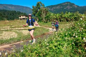 BIB: 
                            <button type="button" onclick="openModal(26688206)" class="btn btn-primary btn-sm float-right btn-popup" data-toggle="modal" data-target=".modal-high-quality">
                        <i class="fas fa-shopping-cart"></i> Add to Cart
                    </button>
                                            <button type="button" onclick="isThisMe(26688206, true)" class="btn btn-success btn-sm float-right btn-popup btn-isme hidden" data-toggle="tooltip" data-placement="bottom" title="นี่คือรูปของคุณใช่ไหม คลิกที่นี่เพื่อเอาเข้าอัลบั้ม">
                        <i class="fas fa-plus"></i> Add to album
                    </button>
                    <button type="button" onclick="isThisMe(26688206, false)" class="btn btn-warning btn-sm float-right btn-popup btn-isnotme hidden">
                        <i class="fas fa-ban"></i> Remove from album
                    </button>