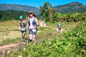 BIB: 
                            <button type="button" onclick="openModal(26689390)" class="btn btn-primary btn-sm float-right btn-popup" data-toggle="modal" data-target=".modal-high-quality">
                        <i class="fas fa-shopping-cart"></i> Add to Cart
                    </button>
                                            <button type="button" onclick="isThisMe(26689390, true)" class="btn btn-success btn-sm float-right btn-popup btn-isme hidden" data-toggle="tooltip" data-placement="bottom" title="นี่คือรูปของคุณใช่ไหม คลิกที่นี่เพื่อเอาเข้าอัลบั้ม">
                        <i class="fas fa-plus"></i> Add to album
                    </button>
                    <button type="button" onclick="isThisMe(26689390, false)" class="btn btn-warning btn-sm float-right btn-popup btn-isnotme hidden">
                        <i class="fas fa-ban"></i> Remove from album
                    </button>