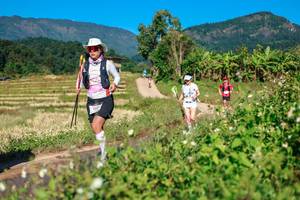 BIB: 
                            <button type="button" onclick="openModal(26687978)" class="btn btn-primary btn-sm float-right btn-popup" data-toggle="modal" data-target=".modal-high-quality">
                        <i class="fas fa-shopping-cart"></i> Add to Cart
                    </button>
                                            <button type="button" onclick="isThisMe(26687978, true)" class="btn btn-success btn-sm float-right btn-popup btn-isme hidden" data-toggle="tooltip" data-placement="bottom" title="นี่คือรูปของคุณใช่ไหม คลิกที่นี่เพื่อเอาเข้าอัลบั้ม">
                        <i class="fas fa-plus"></i> Add to album
                    </button>
                    <button type="button" onclick="isThisMe(26687978, false)" class="btn btn-warning btn-sm float-right btn-popup btn-isnotme hidden">
                        <i class="fas fa-ban"></i> Remove from album
                    </button>