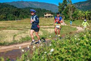 BIB: 
                            <button type="button" onclick="openModal(26688049)" class="btn btn-primary btn-sm float-right btn-popup" data-toggle="modal" data-target=".modal-high-quality">
                        <i class="fas fa-shopping-cart"></i> Add to Cart
                    </button>
                                            <button type="button" onclick="isThisMe(26688049, true)" class="btn btn-success btn-sm float-right btn-popup btn-isme hidden" data-toggle="tooltip" data-placement="bottom" title="นี่คือรูปของคุณใช่ไหม คลิกที่นี่เพื่อเอาเข้าอัลบั้ม">
                        <i class="fas fa-plus"></i> Add to album
                    </button>
                    <button type="button" onclick="isThisMe(26688049, false)" class="btn btn-warning btn-sm float-right btn-popup btn-isnotme hidden">
                        <i class="fas fa-ban"></i> Remove from album
                    </button>