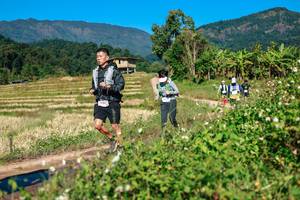 BIB: 
                            <button type="button" onclick="openModal(26688961)" class="btn btn-primary btn-sm float-right btn-popup" data-toggle="modal" data-target=".modal-high-quality">
                        <i class="fas fa-shopping-cart"></i> Add to Cart
                    </button>
                                            <button type="button" onclick="isThisMe(26688961, true)" class="btn btn-success btn-sm float-right btn-popup btn-isme hidden" data-toggle="tooltip" data-placement="bottom" title="นี่คือรูปของคุณใช่ไหม คลิกที่นี่เพื่อเอาเข้าอัลบั้ม">
                        <i class="fas fa-plus"></i> Add to album
                    </button>
                    <button type="button" onclick="isThisMe(26688961, false)" class="btn btn-warning btn-sm float-right btn-popup btn-isnotme hidden">
                        <i class="fas fa-ban"></i> Remove from album
                    </button>