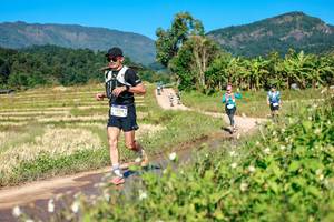 BIB: 
                            <button type="button" onclick="openModal(26689443)" class="btn btn-primary btn-sm float-right btn-popup" data-toggle="modal" data-target=".modal-high-quality">
                        <i class="fas fa-shopping-cart"></i> Add to Cart
                    </button>
                                            <button type="button" onclick="isThisMe(26689443, true)" class="btn btn-success btn-sm float-right btn-popup btn-isme hidden" data-toggle="tooltip" data-placement="bottom" title="นี่คือรูปของคุณใช่ไหม คลิกที่นี่เพื่อเอาเข้าอัลบั้ม">
                        <i class="fas fa-plus"></i> Add to album
                    </button>
                    <button type="button" onclick="isThisMe(26689443, false)" class="btn btn-warning btn-sm float-right btn-popup btn-isnotme hidden">
                        <i class="fas fa-ban"></i> Remove from album
                    </button>