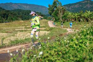 BIB: 
                            <button type="button" onclick="openModal(26688071)" class="btn btn-primary btn-sm float-right btn-popup" data-toggle="modal" data-target=".modal-high-quality">
                        <i class="fas fa-shopping-cart"></i> Add to Cart
                    </button>
                                            <button type="button" onclick="isThisMe(26688071, true)" class="btn btn-success btn-sm float-right btn-popup btn-isme hidden" data-toggle="tooltip" data-placement="bottom" title="นี่คือรูปของคุณใช่ไหม คลิกที่นี่เพื่อเอาเข้าอัลบั้ม">
                        <i class="fas fa-plus"></i> Add to album
                    </button>
                    <button type="button" onclick="isThisMe(26688071, false)" class="btn btn-warning btn-sm float-right btn-popup btn-isnotme hidden">
                        <i class="fas fa-ban"></i> Remove from album
                    </button>