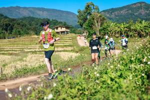 BIB: 
                            <button type="button" onclick="openModal(26688706)" class="btn btn-primary btn-sm float-right btn-popup" data-toggle="modal" data-target=".modal-high-quality">
                        <i class="fas fa-shopping-cart"></i> Add to Cart
                    </button>
                                            <button type="button" onclick="isThisMe(26688706, true)" class="btn btn-success btn-sm float-right btn-popup btn-isme hidden" data-toggle="tooltip" data-placement="bottom" title="นี่คือรูปของคุณใช่ไหม คลิกที่นี่เพื่อเอาเข้าอัลบั้ม">
                        <i class="fas fa-plus"></i> Add to album
                    </button>
                    <button type="button" onclick="isThisMe(26688706, false)" class="btn btn-warning btn-sm float-right btn-popup btn-isnotme hidden">
                        <i class="fas fa-ban"></i> Remove from album
                    </button>