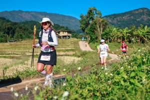 BIB: 
                            <button type="button" onclick="openModal(26687990)" class="btn btn-primary btn-sm float-right btn-popup" data-toggle="modal" data-target=".modal-high-quality">
                        <i class="fas fa-shopping-cart"></i> Add to Cart
                    </button>
                                            <button type="button" onclick="isThisMe(26687990, true)" class="btn btn-success btn-sm float-right btn-popup btn-isme hidden" data-toggle="tooltip" data-placement="bottom" title="นี่คือรูปของคุณใช่ไหม คลิกที่นี่เพื่อเอาเข้าอัลบั้ม">
                        <i class="fas fa-plus"></i> Add to album
                    </button>
                    <button type="button" onclick="isThisMe(26687990, false)" class="btn btn-warning btn-sm float-right btn-popup btn-isnotme hidden">
                        <i class="fas fa-ban"></i> Remove from album
                    </button>