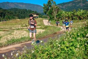 BIB: 
                            <button type="button" onclick="openModal(26688135)" class="btn btn-primary btn-sm float-right btn-popup" data-toggle="modal" data-target=".modal-high-quality">
                        <i class="fas fa-shopping-cart"></i> Add to Cart
                    </button>
                                            <button type="button" onclick="isThisMe(26688135, true)" class="btn btn-success btn-sm float-right btn-popup btn-isme hidden" data-toggle="tooltip" data-placement="bottom" title="นี่คือรูปของคุณใช่ไหม คลิกที่นี่เพื่อเอาเข้าอัลบั้ม">
                        <i class="fas fa-plus"></i> Add to album
                    </button>
                    <button type="button" onclick="isThisMe(26688135, false)" class="btn btn-warning btn-sm float-right btn-popup btn-isnotme hidden">
                        <i class="fas fa-ban"></i> Remove from album
                    </button>