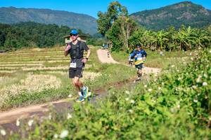 BIB: 
                            <button type="button" onclick="openModal(26689360)" class="btn btn-primary btn-sm float-right btn-popup" data-toggle="modal" data-target=".modal-high-quality">
                        <i class="fas fa-shopping-cart"></i> Add to Cart
                    </button>
                                            <button type="button" onclick="isThisMe(26689360, true)" class="btn btn-success btn-sm float-right btn-popup btn-isme hidden" data-toggle="tooltip" data-placement="bottom" title="นี่คือรูปของคุณใช่ไหม คลิกที่นี่เพื่อเอาเข้าอัลบั้ม">
                        <i class="fas fa-plus"></i> Add to album
                    </button>
                    <button type="button" onclick="isThisMe(26689360, false)" class="btn btn-warning btn-sm float-right btn-popup btn-isnotme hidden">
                        <i class="fas fa-ban"></i> Remove from album
                    </button>