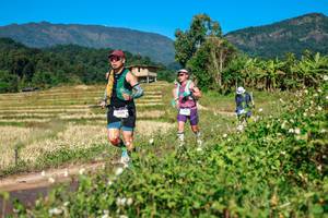 BIB: 
                            <button type="button" onclick="openModal(26688928)" class="btn btn-primary btn-sm float-right btn-popup" data-toggle="modal" data-target=".modal-high-quality">
                        <i class="fas fa-shopping-cart"></i> Add to Cart
                    </button>
                                            <button type="button" onclick="isThisMe(26688928, true)" class="btn btn-success btn-sm float-right btn-popup btn-isme hidden" data-toggle="tooltip" data-placement="bottom" title="นี่คือรูปของคุณใช่ไหม คลิกที่นี่เพื่อเอาเข้าอัลบั้ม">
                        <i class="fas fa-plus"></i> Add to album
                    </button>
                    <button type="button" onclick="isThisMe(26688928, false)" class="btn btn-warning btn-sm float-right btn-popup btn-isnotme hidden">
                        <i class="fas fa-ban"></i> Remove from album
                    </button>