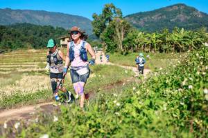 BIB: 
                            <button type="button" onclick="openModal(26689385)" class="btn btn-primary btn-sm float-right btn-popup" data-toggle="modal" data-target=".modal-high-quality">
                        <i class="fas fa-shopping-cart"></i> Add to Cart
                    </button>
                                            <button type="button" onclick="isThisMe(26689385, true)" class="btn btn-success btn-sm float-right btn-popup btn-isme hidden" data-toggle="tooltip" data-placement="bottom" title="นี่คือรูปของคุณใช่ไหม คลิกที่นี่เพื่อเอาเข้าอัลบั้ม">
                        <i class="fas fa-plus"></i> Add to album
                    </button>
                    <button type="button" onclick="isThisMe(26689385, false)" class="btn btn-warning btn-sm float-right btn-popup btn-isnotme hidden">
                        <i class="fas fa-ban"></i> Remove from album
                    </button>