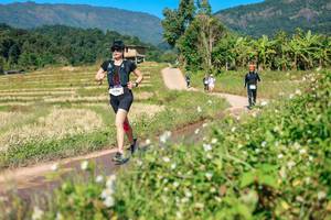 BIB: 
                            <button type="button" onclick="openModal(26691845)" class="btn btn-primary btn-sm float-right btn-popup" data-toggle="modal" data-target=".modal-high-quality">
                        <i class="fas fa-shopping-cart"></i> Add to Cart
                    </button>
                                            <button type="button" onclick="isThisMe(26691845, true)" class="btn btn-success btn-sm float-right btn-popup btn-isme hidden" data-toggle="tooltip" data-placement="bottom" title="นี่คือรูปของคุณใช่ไหม คลิกที่นี่เพื่อเอาเข้าอัลบั้ม">
                        <i class="fas fa-plus"></i> Add to album
                    </button>
                    <button type="button" onclick="isThisMe(26691845, false)" class="btn btn-warning btn-sm float-right btn-popup btn-isnotme hidden">
                        <i class="fas fa-ban"></i> Remove from album
                    </button>