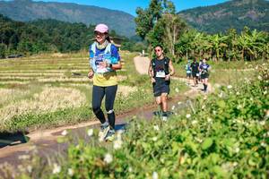 BIB: 
                            <button type="button" onclick="openModal(26690685)" class="btn btn-primary btn-sm float-right btn-popup" data-toggle="modal" data-target=".modal-high-quality">
                        <i class="fas fa-shopping-cart"></i> Add to Cart
                    </button>
                                            <button type="button" onclick="isThisMe(26690685, true)" class="btn btn-success btn-sm float-right btn-popup btn-isme hidden" data-toggle="tooltip" data-placement="bottom" title="นี่คือรูปของคุณใช่ไหม คลิกที่นี่เพื่อเอาเข้าอัลบั้ม">
                        <i class="fas fa-plus"></i> Add to album
                    </button>
                    <button type="button" onclick="isThisMe(26690685, false)" class="btn btn-warning btn-sm float-right btn-popup btn-isnotme hidden">
                        <i class="fas fa-ban"></i> Remove from album
                    </button>