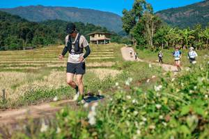 BIB: 
                            <button type="button" onclick="openModal(26691507)" class="btn btn-primary btn-sm float-right btn-popup" data-toggle="modal" data-target=".modal-high-quality">
                        <i class="fas fa-shopping-cart"></i> Add to Cart
                    </button>
                                            <button type="button" onclick="isThisMe(26691507, true)" class="btn btn-success btn-sm float-right btn-popup btn-isme hidden" data-toggle="tooltip" data-placement="bottom" title="นี่คือรูปของคุณใช่ไหม คลิกที่นี่เพื่อเอาเข้าอัลบั้ม">
                        <i class="fas fa-plus"></i> Add to album
                    </button>
                    <button type="button" onclick="isThisMe(26691507, false)" class="btn btn-warning btn-sm float-right btn-popup btn-isnotme hidden">
                        <i class="fas fa-ban"></i> Remove from album
                    </button>