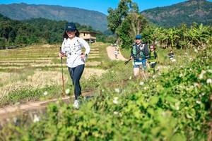 BIB: 
                            <button type="button" onclick="openModal(26690109)" class="btn btn-primary btn-sm float-right btn-popup" data-toggle="modal" data-target=".modal-high-quality">
                        <i class="fas fa-shopping-cart"></i> Add to Cart
                    </button>
                                            <button type="button" onclick="isThisMe(26690109, true)" class="btn btn-success btn-sm float-right btn-popup btn-isme hidden" data-toggle="tooltip" data-placement="bottom" title="นี่คือรูปของคุณใช่ไหม คลิกที่นี่เพื่อเอาเข้าอัลบั้ม">
                        <i class="fas fa-plus"></i> Add to album
                    </button>
                    <button type="button" onclick="isThisMe(26690109, false)" class="btn btn-warning btn-sm float-right btn-popup btn-isnotme hidden">
                        <i class="fas fa-ban"></i> Remove from album
                    </button>