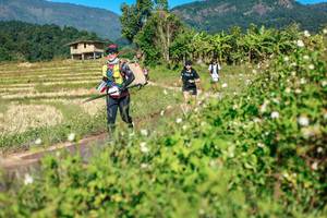 BIB: 
                            <button type="button" onclick="openModal(26690291)" class="btn btn-primary btn-sm float-right btn-popup" data-toggle="modal" data-target=".modal-high-quality">
                        <i class="fas fa-shopping-cart"></i> Add to Cart
                    </button>
                                            <button type="button" onclick="isThisMe(26690291, true)" class="btn btn-success btn-sm float-right btn-popup btn-isme hidden" data-toggle="tooltip" data-placement="bottom" title="นี่คือรูปของคุณใช่ไหม คลิกที่นี่เพื่อเอาเข้าอัลบั้ม">
                        <i class="fas fa-plus"></i> Add to album
                    </button>
                    <button type="button" onclick="isThisMe(26690291, false)" class="btn btn-warning btn-sm float-right btn-popup btn-isnotme hidden">
                        <i class="fas fa-ban"></i> Remove from album
                    </button>