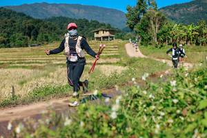 BIB: 
                            <button type="button" onclick="openModal(26691576)" class="btn btn-primary btn-sm float-right btn-popup" data-toggle="modal" data-target=".modal-high-quality">
                        <i class="fas fa-shopping-cart"></i> Add to Cart
                    </button>
                                            <button type="button" onclick="isThisMe(26691576, true)" class="btn btn-success btn-sm float-right btn-popup btn-isme hidden" data-toggle="tooltip" data-placement="bottom" title="นี่คือรูปของคุณใช่ไหม คลิกที่นี่เพื่อเอาเข้าอัลบั้ม">
                        <i class="fas fa-plus"></i> Add to album
                    </button>
                    <button type="button" onclick="isThisMe(26691576, false)" class="btn btn-warning btn-sm float-right btn-popup btn-isnotme hidden">
                        <i class="fas fa-ban"></i> Remove from album
                    </button>