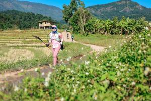 BIB: 
                            <button type="button" onclick="openModal(26691053)" class="btn btn-primary btn-sm float-right btn-popup" data-toggle="modal" data-target=".modal-high-quality">
                        <i class="fas fa-shopping-cart"></i> Add to Cart
                    </button>
                                            <button type="button" onclick="isThisMe(26691053, true)" class="btn btn-success btn-sm float-right btn-popup btn-isme hidden" data-toggle="tooltip" data-placement="bottom" title="นี่คือรูปของคุณใช่ไหม คลิกที่นี่เพื่อเอาเข้าอัลบั้ม">
                        <i class="fas fa-plus"></i> Add to album
                    </button>
                    <button type="button" onclick="isThisMe(26691053, false)" class="btn btn-warning btn-sm float-right btn-popup btn-isnotme hidden">
                        <i class="fas fa-ban"></i> Remove from album
                    </button>