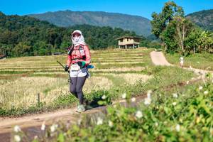 BIB: 
                            <button type="button" onclick="openModal(26690768)" class="btn btn-primary btn-sm float-right btn-popup" data-toggle="modal" data-target=".modal-high-quality">
                        <i class="fas fa-shopping-cart"></i> Add to Cart
                    </button>
                                            <button type="button" onclick="isThisMe(26690768, true)" class="btn btn-success btn-sm float-right btn-popup btn-isme hidden" data-toggle="tooltip" data-placement="bottom" title="นี่คือรูปของคุณใช่ไหม คลิกที่นี่เพื่อเอาเข้าอัลบั้ม">
                        <i class="fas fa-plus"></i> Add to album
                    </button>
                    <button type="button" onclick="isThisMe(26690768, false)" class="btn btn-warning btn-sm float-right btn-popup btn-isnotme hidden">
                        <i class="fas fa-ban"></i> Remove from album
                    </button>