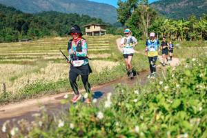 BIB: 
                            <button type="button" onclick="openModal(26690648)" class="btn btn-primary btn-sm float-right btn-popup" data-toggle="modal" data-target=".modal-high-quality">
                        <i class="fas fa-shopping-cart"></i> Add to Cart
                    </button>
                                            <button type="button" onclick="isThisMe(26690648, true)" class="btn btn-success btn-sm float-right btn-popup btn-isme hidden" data-toggle="tooltip" data-placement="bottom" title="นี่คือรูปของคุณใช่ไหม คลิกที่นี่เพื่อเอาเข้าอัลบั้ม">
                        <i class="fas fa-plus"></i> Add to album
                    </button>
                    <button type="button" onclick="isThisMe(26690648, false)" class="btn btn-warning btn-sm float-right btn-popup btn-isnotme hidden">
                        <i class="fas fa-ban"></i> Remove from album
                    </button>