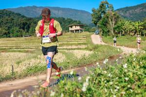 BIB: 
                            <button type="button" onclick="openModal(26691754)" class="btn btn-primary btn-sm float-right btn-popup" data-toggle="modal" data-target=".modal-high-quality">
                        <i class="fas fa-shopping-cart"></i> Add to Cart
                    </button>
                                            <button type="button" onclick="isThisMe(26691754, true)" class="btn btn-success btn-sm float-right btn-popup btn-isme hidden" data-toggle="tooltip" data-placement="bottom" title="นี่คือรูปของคุณใช่ไหม คลิกที่นี่เพื่อเอาเข้าอัลบั้ม">
                        <i class="fas fa-plus"></i> Add to album
                    </button>
                    <button type="button" onclick="isThisMe(26691754, false)" class="btn btn-warning btn-sm float-right btn-popup btn-isnotme hidden">
                        <i class="fas fa-ban"></i> Remove from album
                    </button>