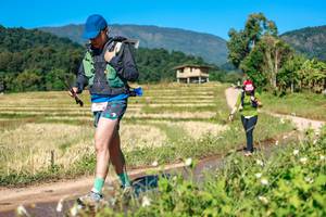 BIB: 
                            <button type="button" onclick="openModal(26690161)" class="btn btn-primary btn-sm float-right btn-popup" data-toggle="modal" data-target=".modal-high-quality">
                        <i class="fas fa-shopping-cart"></i> Add to Cart
                    </button>
                                            <button type="button" onclick="isThisMe(26690161, true)" class="btn btn-success btn-sm float-right btn-popup btn-isme hidden" data-toggle="tooltip" data-placement="bottom" title="นี่คือรูปของคุณใช่ไหม คลิกที่นี่เพื่อเอาเข้าอัลบั้ม">
                        <i class="fas fa-plus"></i> Add to album
                    </button>
                    <button type="button" onclick="isThisMe(26690161, false)" class="btn btn-warning btn-sm float-right btn-popup btn-isnotme hidden">
                        <i class="fas fa-ban"></i> Remove from album
                    </button>