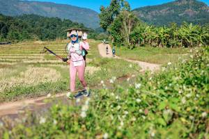 BIB: 
                            <button type="button" onclick="openModal(26691054)" class="btn btn-primary btn-sm float-right btn-popup" data-toggle="modal" data-target=".modal-high-quality">
                        <i class="fas fa-shopping-cart"></i> Add to Cart
                    </button>
                                            <button type="button" onclick="isThisMe(26691054, true)" class="btn btn-success btn-sm float-right btn-popup btn-isme hidden" data-toggle="tooltip" data-placement="bottom" title="นี่คือรูปของคุณใช่ไหม คลิกที่นี่เพื่อเอาเข้าอัลบั้ม">
                        <i class="fas fa-plus"></i> Add to album
                    </button>
                    <button type="button" onclick="isThisMe(26691054, false)" class="btn btn-warning btn-sm float-right btn-popup btn-isnotme hidden">
                        <i class="fas fa-ban"></i> Remove from album
                    </button>