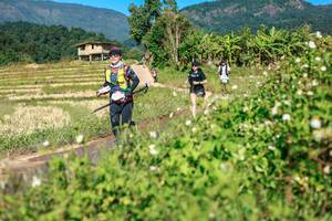 BIB: 
                            <button type="button" onclick="openModal(26690290)" class="btn btn-primary btn-sm float-right btn-popup" data-toggle="modal" data-target=".modal-high-quality">
                        <i class="fas fa-shopping-cart"></i> Add to Cart
                    </button>
                                            <button type="button" onclick="isThisMe(26690290, true)" class="btn btn-success btn-sm float-right btn-popup btn-isme hidden" data-toggle="tooltip" data-placement="bottom" title="นี่คือรูปของคุณใช่ไหม คลิกที่นี่เพื่อเอาเข้าอัลบั้ม">
                        <i class="fas fa-plus"></i> Add to album
                    </button>
                    <button type="button" onclick="isThisMe(26690290, false)" class="btn btn-warning btn-sm float-right btn-popup btn-isnotme hidden">
                        <i class="fas fa-ban"></i> Remove from album
                    </button>