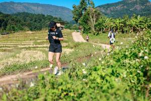 BIB: 
                            <button type="button" onclick="openModal(26690337)" class="btn btn-primary btn-sm float-right btn-popup" data-toggle="modal" data-target=".modal-high-quality">
                        <i class="fas fa-shopping-cart"></i> Add to Cart
                    </button>
                                            <button type="button" onclick="isThisMe(26690337, true)" class="btn btn-success btn-sm float-right btn-popup btn-isme hidden" data-toggle="tooltip" data-placement="bottom" title="นี่คือรูปของคุณใช่ไหม คลิกที่นี่เพื่อเอาเข้าอัลบั้ม">
                        <i class="fas fa-plus"></i> Add to album
                    </button>
                    <button type="button" onclick="isThisMe(26690337, false)" class="btn btn-warning btn-sm float-right btn-popup btn-isnotme hidden">
                        <i class="fas fa-ban"></i> Remove from album
                    </button>