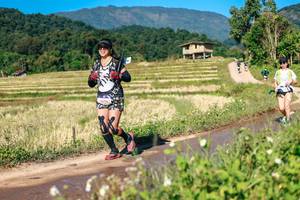 BIB: 
                            <button type="button" onclick="openModal(26689941)" class="btn btn-primary btn-sm float-right btn-popup" data-toggle="modal" data-target=".modal-high-quality">
                        <i class="fas fa-shopping-cart"></i> Add to Cart
                    </button>
                                            <button type="button" onclick="isThisMe(26689941, true)" class="btn btn-success btn-sm float-right btn-popup btn-isme hidden" data-toggle="tooltip" data-placement="bottom" title="นี่คือรูปของคุณใช่ไหม คลิกที่นี่เพื่อเอาเข้าอัลบั้ม">
                        <i class="fas fa-plus"></i> Add to album
                    </button>
                    <button type="button" onclick="isThisMe(26689941, false)" class="btn btn-warning btn-sm float-right btn-popup btn-isnotme hidden">
                        <i class="fas fa-ban"></i> Remove from album
                    </button>