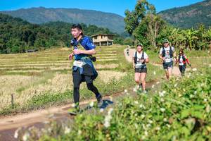 BIB: 
                            <button type="button" onclick="openModal(26691256)" class="btn btn-primary btn-sm float-right btn-popup" data-toggle="modal" data-target=".modal-high-quality">
                        <i class="fas fa-shopping-cart"></i> Add to Cart
                    </button>
                                            <button type="button" onclick="isThisMe(26691256, true)" class="btn btn-success btn-sm float-right btn-popup btn-isme hidden" data-toggle="tooltip" data-placement="bottom" title="นี่คือรูปของคุณใช่ไหม คลิกที่นี่เพื่อเอาเข้าอัลบั้ม">
                        <i class="fas fa-plus"></i> Add to album
                    </button>
                    <button type="button" onclick="isThisMe(26691256, false)" class="btn btn-warning btn-sm float-right btn-popup btn-isnotme hidden">
                        <i class="fas fa-ban"></i> Remove from album
                    </button>